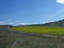 Small Farm