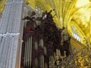 Pipe Organ
