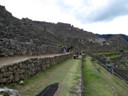 Machu Picchu terraces