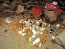 Guinea pigs raised for food inside a home in Ollantaytambo