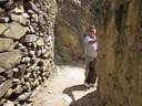 Ollantaytambo Fortress (Howard)