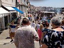 Venice (Howard, Pat)