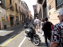 Padua (Pat)