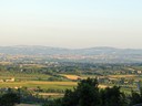 Assisi
