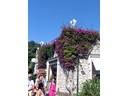 Capri