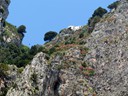 Villa Jovis