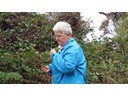 Checking the berries along Great Ocean Cumberland Rive area Pat)