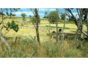Mt. Field Nationa Park to  Ellendale