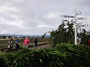Bridestowe Lavender Farm