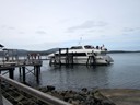 Harbour Cruise