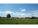Mullumbimby
