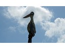 Mullumbimby