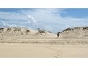 South Stradbroke Island (Howard)