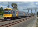 TransLink Train