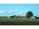 Near Gatton