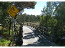 Boondall Wetlands Cycleway