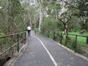Boondall Wetlands Cycleway (Darcy)