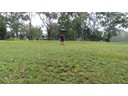 Bora Grounds (Darcy)