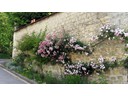Auvers-sur-Oise