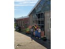Tulip Bulb grower